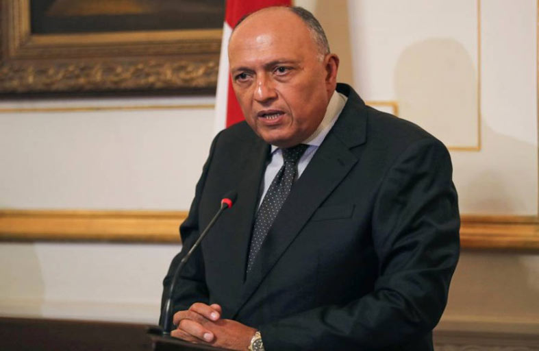 مصر: الحل السياسي في ليبيا لن يتحقق دون وقف التدخلات