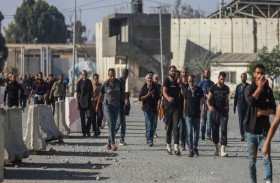 فلسطينيون يعودون لزراعة أراضيهم بسبب الحرب