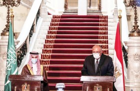 تنسيق سعودي مصري للتصدي للتدخلات الخارجية في المنطقة