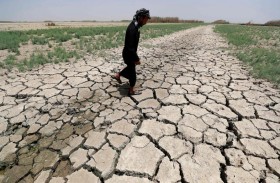 أهوار العراق تستسلم للجفاف..وغياب شبه تام للأمطار 
